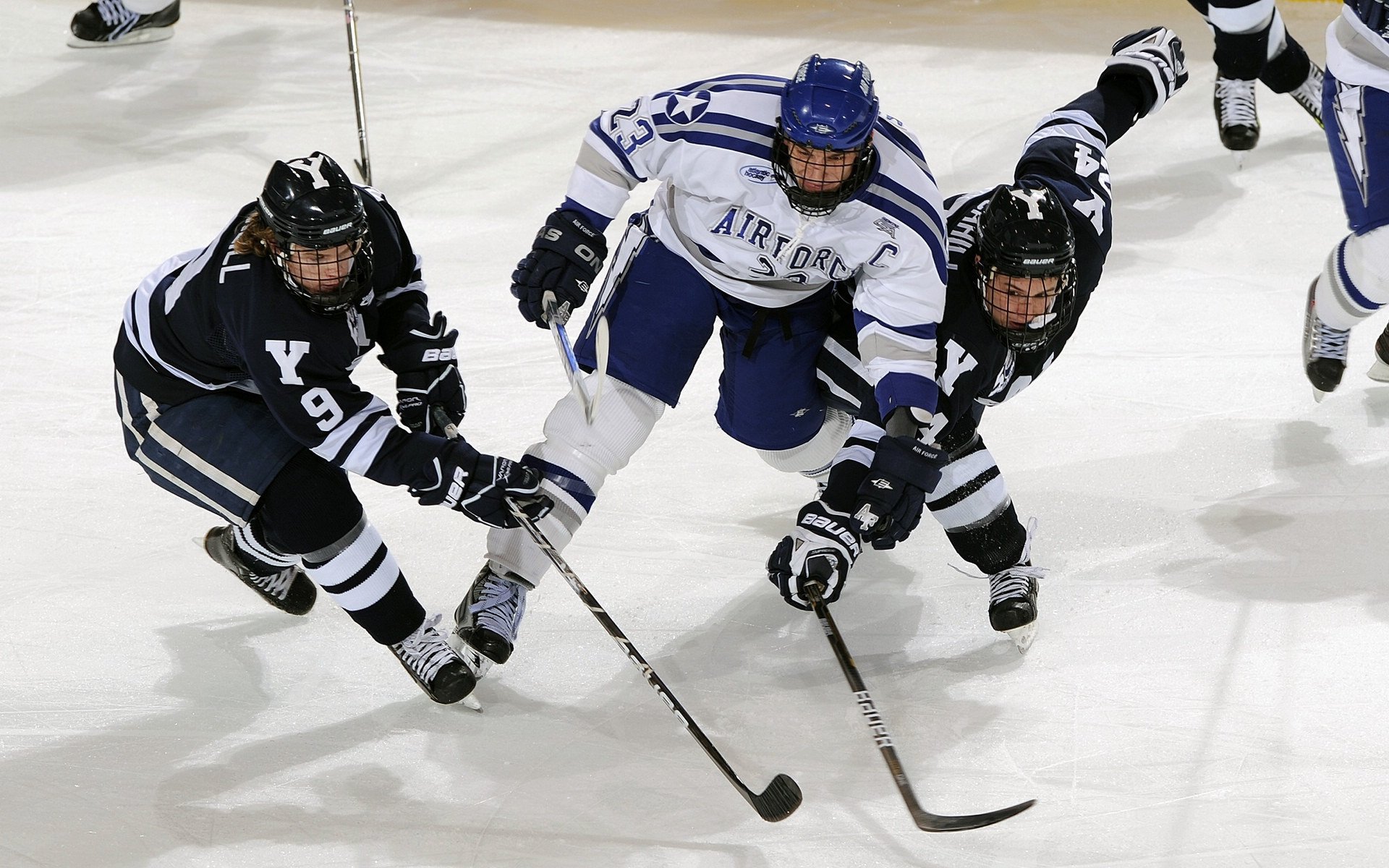 美国马术协会举办马匹护理培训班，提高骑手护理技能。，美国 马术
